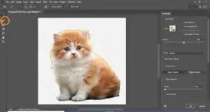 Adobe Photoshop